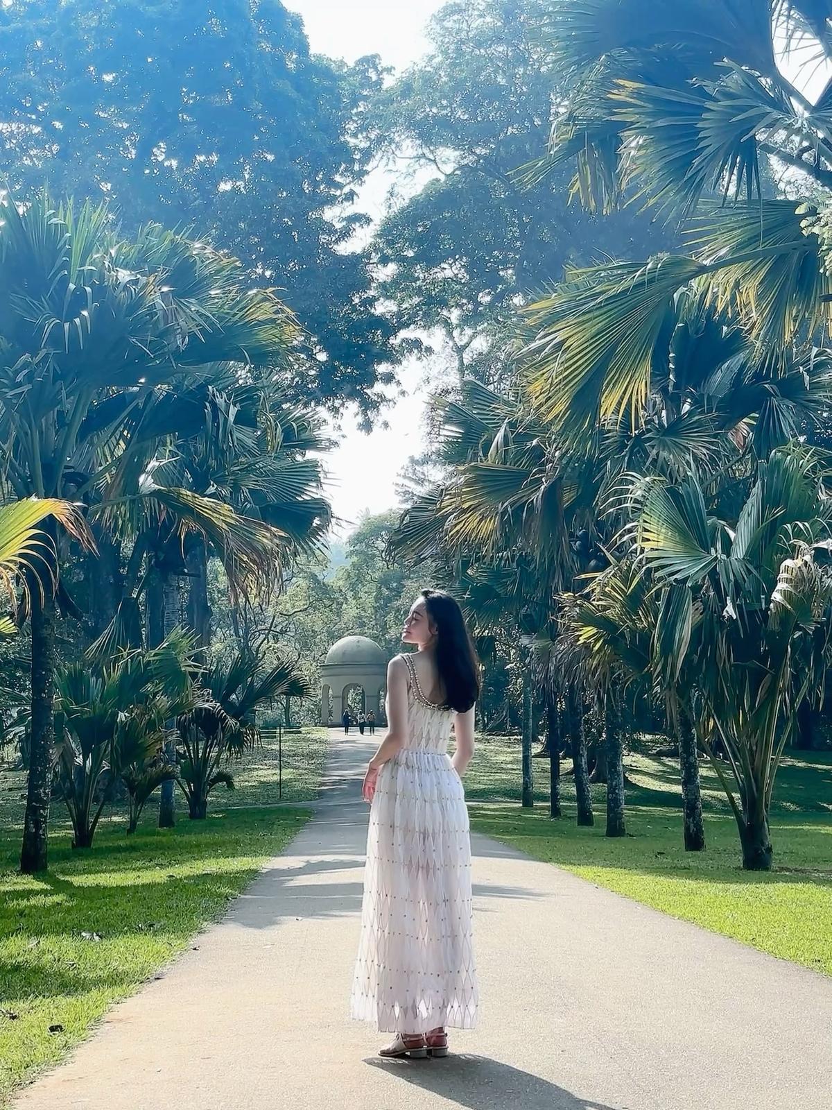 IMG-20250516-WasasA0014